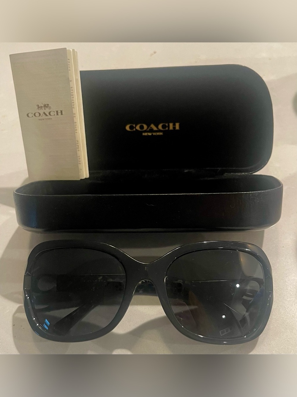 Coach Oversized Women's Sunglasses in Black